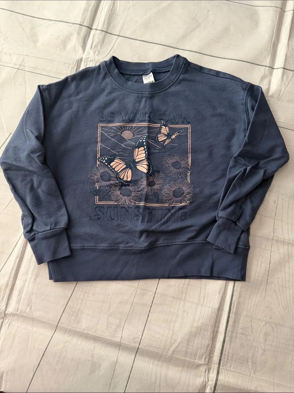 Blue Graphic Butterfly Sweatshirt